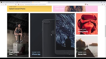 Salient   Responsive Multi Purpose Theme