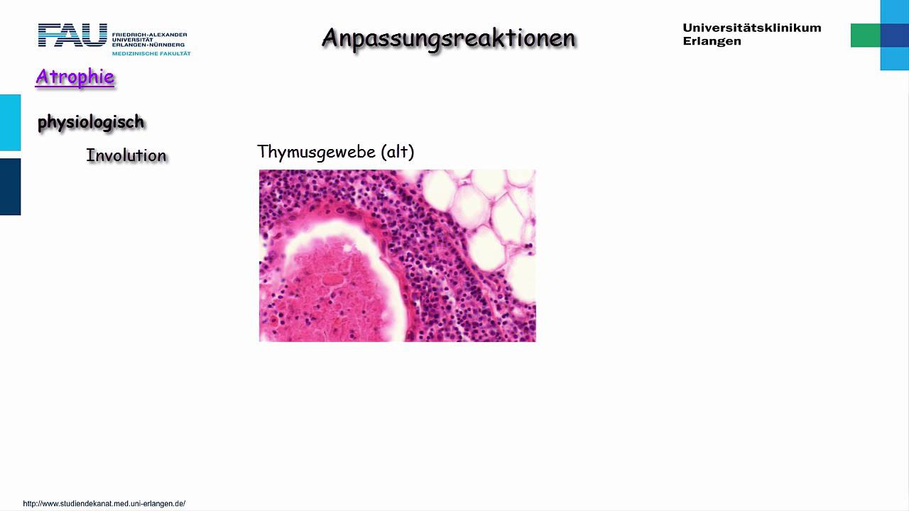 Pathologische Atemformen - einfach und verständlich erklärt