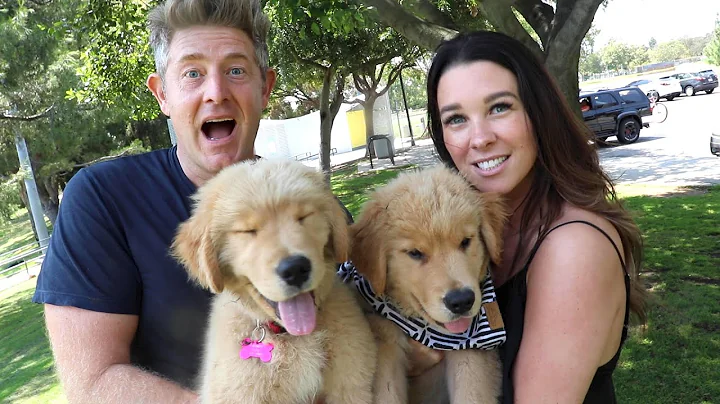 REUNITING PUPPY WITH HIS BROTHER!! (EMOTIONAL)
