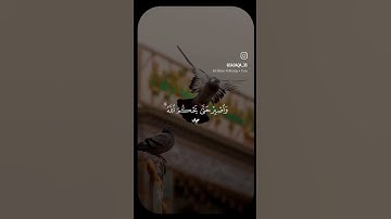 تلاوة القرآن بصوت الشيخ ماهر المعيقلي #ماهر_المعيقلي #القرآن_الكريم #تلاوة_خاشعة