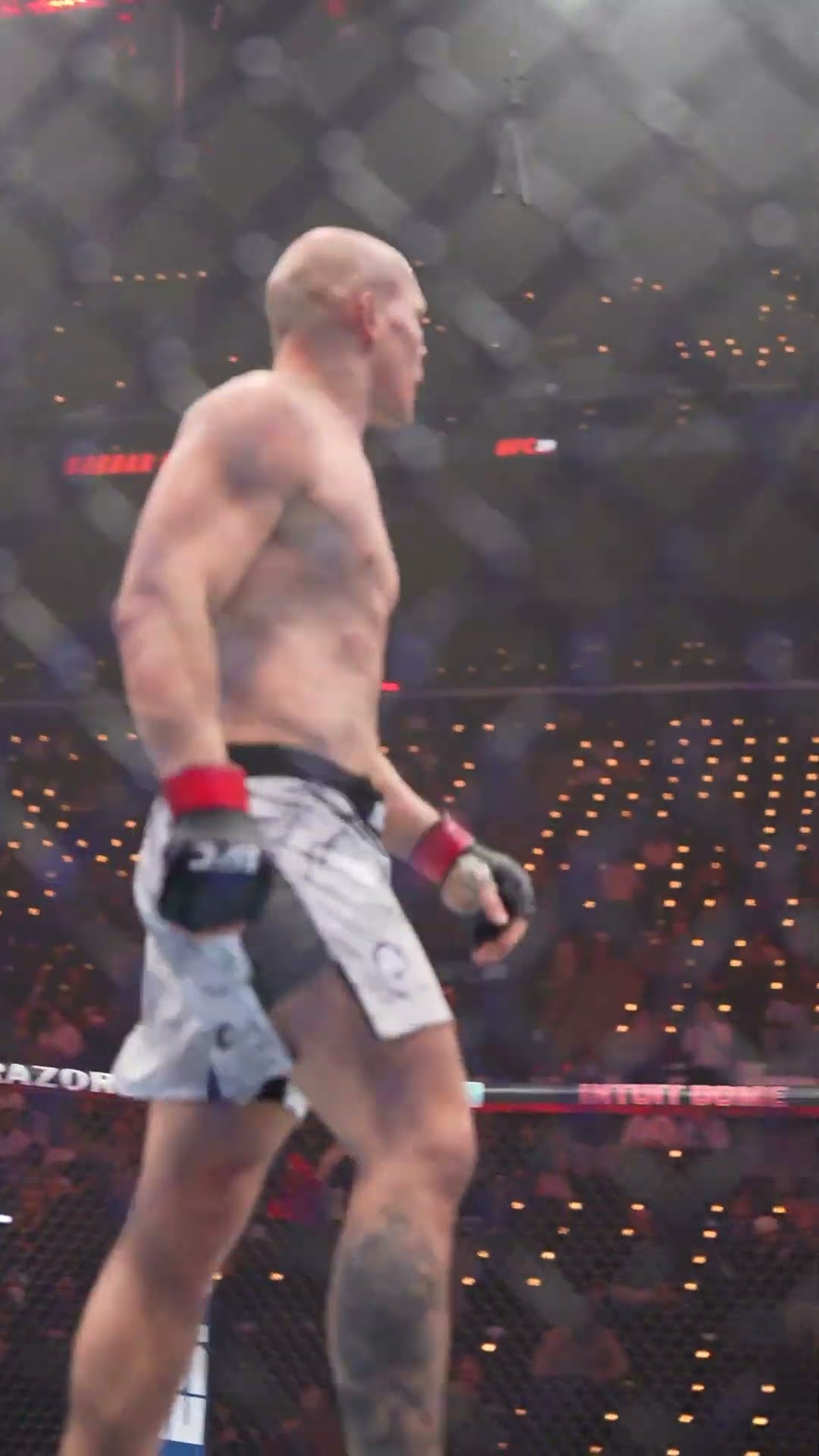 Bogdan Guskov gets the finish! ? #ufc311