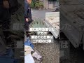 庭に数年放置したアガベ、最近の力仕事は二代目の仕事😁