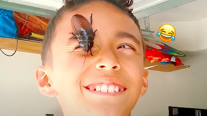 Creepy Bug Vs. Human || TOP FUNNY BUG MOMENTS COMPILATION