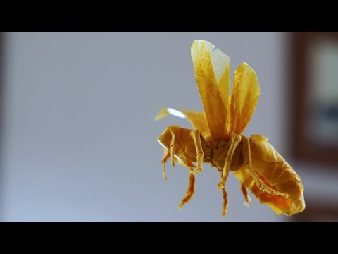 Origami Wasp 2 6 Tutorial Satoshi Kamiya Part 4 4 Final Shaping