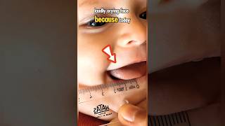 Fbi Mom Mode Activated