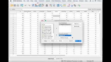 Independent Samples T Test in SPSS