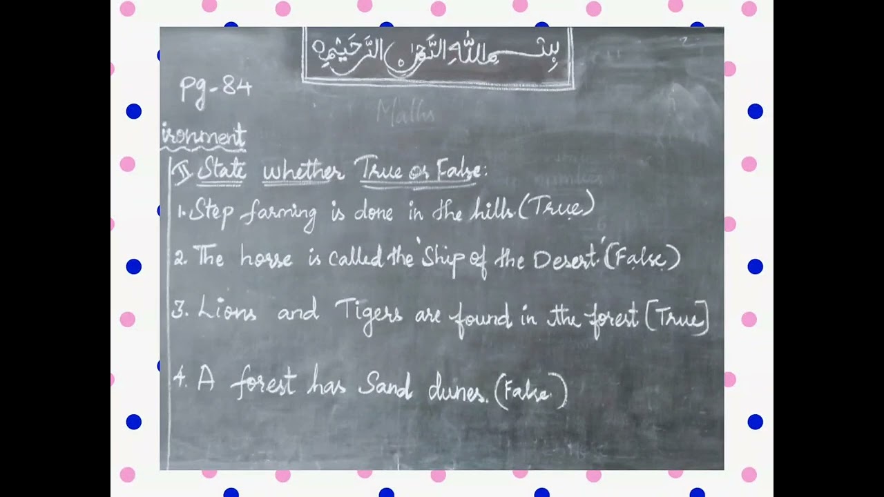 2nd EVS - Our Environment🌍