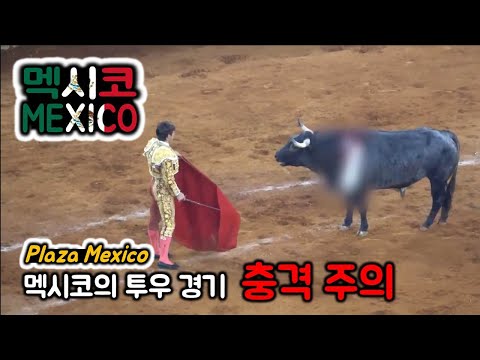 [Mexico ] The world&rsquo;s largest bullfighting arena Plaza Mexico - Kim Ha Young