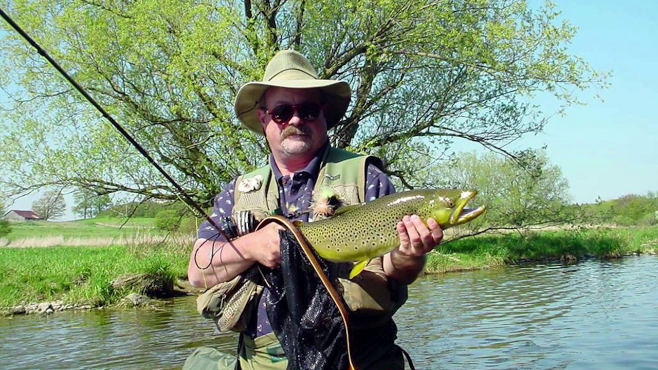 River Brown Trout  Grand River Outfitting & Flyshop 