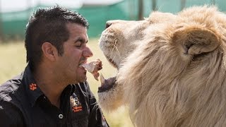 Family Loses Home To Keep Their Tigers And Lions