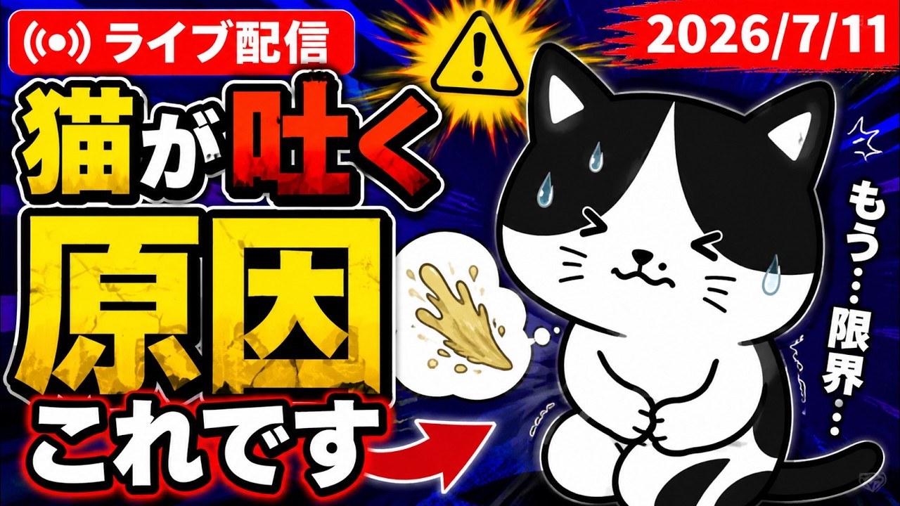 【7/11 生配信】猫が吐く原因を獣医師が解説【アーカイブは7/12まで】
