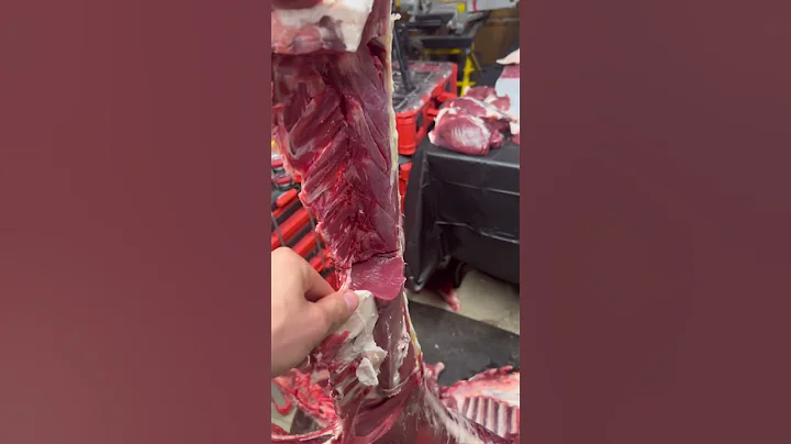 Cut bone in chops from a deer! #shorts #venison #butchering #hunting #hunter