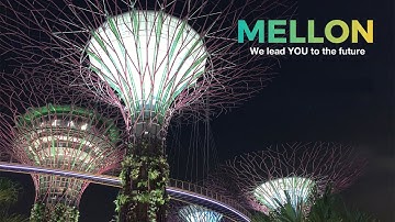 Mellon Interactive Whiteboard (accesses without Windows or Android) - 001