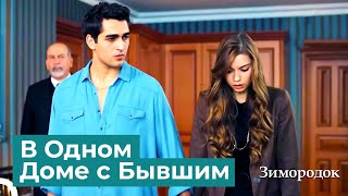 картинка: Визит, Который Поставил Сейран в Трудное Положение | Зимородок