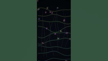 Visual Granular Synth  #diy #synth #simulation #music #python #programming