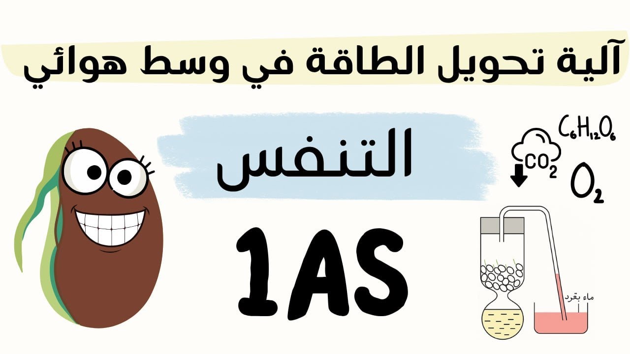 التنفس أولى ثانوي🤓/آلية تحويل الطاقة الكميائية الكامنة  إلى طاقة قابلة للإستعمال/أفضل شرح😎المختصر🫷