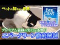 【猫トイレの悩みを解決】プレミアム猫砂の実力は本物？”エバークリーン”を徹底解説！【エバークリーンの知らない世界】