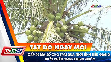 Cấp 49 mã số cho trái dừa tươi tỉnh Tiền Giang xuất khẩu sang Trung Quốc | Cần Thơ TV