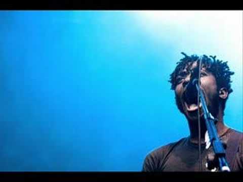 bloc party- rhododendron