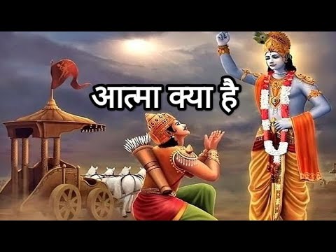 वीडियो: एक वनस्पति आत्मा क्या है?