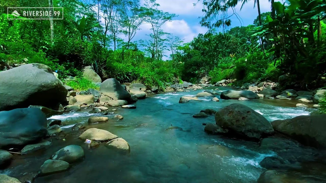River Sounds for Sleeping Therapy | Nonstop Natural River Flow White Noise 24/7