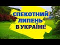 В Укргідрометцентрі оприлюднили прогноз на липень: якої погоди чекати