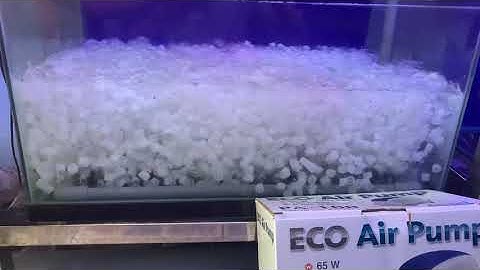 Máy sủi đảo hạt Kanet