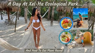 Xel Ha Ecological Park// Plus How We Eat Plant Based At Their Buffets// The Starch Solution