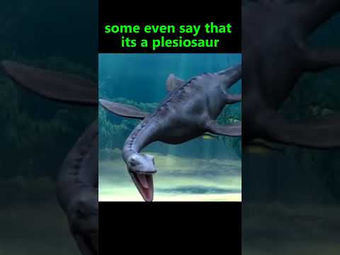 Video: Poreklo pošasti Loch Ness
