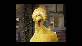 You're About To Hear The Loudest Angeriest Bird , You Have Ever Heard ( EARRAPE )