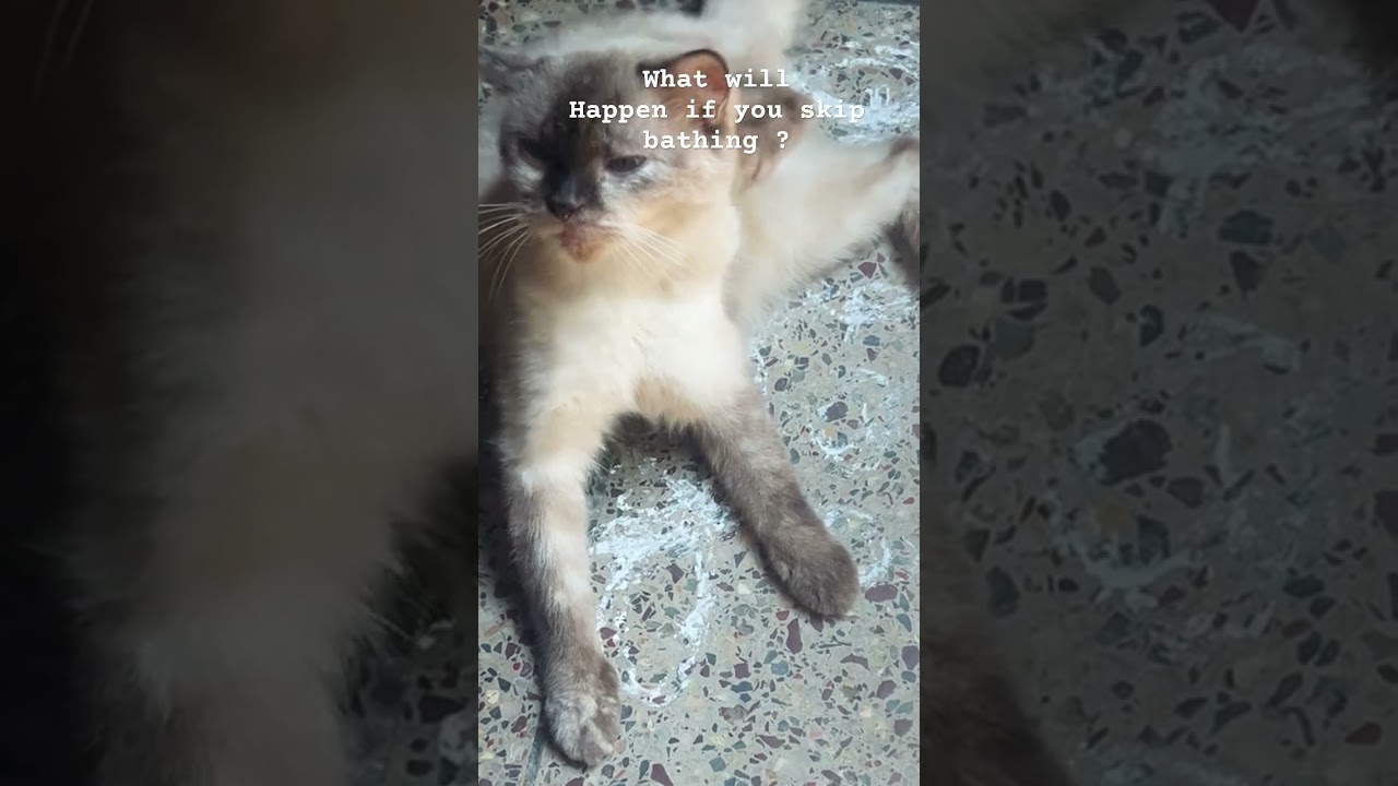 # just saving water#💦 😂