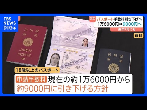 【約9000円に引き下げへ】10年パスポートの手数料　来年の通常国会で旅券法改正目指す｜TBS NEWS DIG
