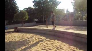 Dani Tricking sampler