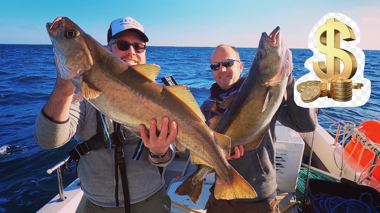 Winter Wreck Fishing - Selling the Catch