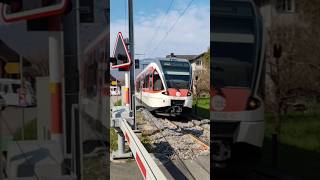 Swiss railroad crossing! #railroadcrossing #rail #railroad #trains #trainspotting #swiss #train