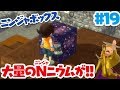 【ニンジャボックス実況#19】Nニウムを集めるためにおしな山の鉱脈へ！！