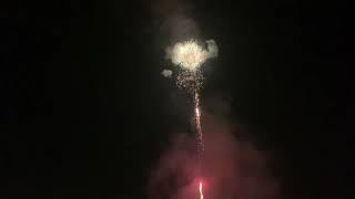 Rooster Rules 2” 66 Shot Firework
