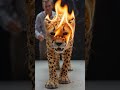 I Made a Cheetah From Matchsticks… Then Burned It 🔥