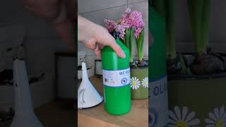 Tiszta És Illatos Wc Titka