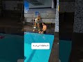 المي باردة يا كوتش Freestyleswimming اكسبلور Swimusa Swimming Swimmin سباحة تيك توك المي باردة يا كوتش Freestyleswimming اكسبلور Swimusa Swimming Swimmin سباحة تيك توك