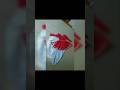 Dhoti and short top 🥰🥰👆#youtubeshorts#viralvideo#trendingvideo