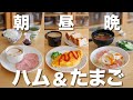【節約】超簡単❣️卵とハムだけで３食乗り切るレシピ🍳