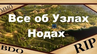 Black Desert все об Узлах (Нодах)