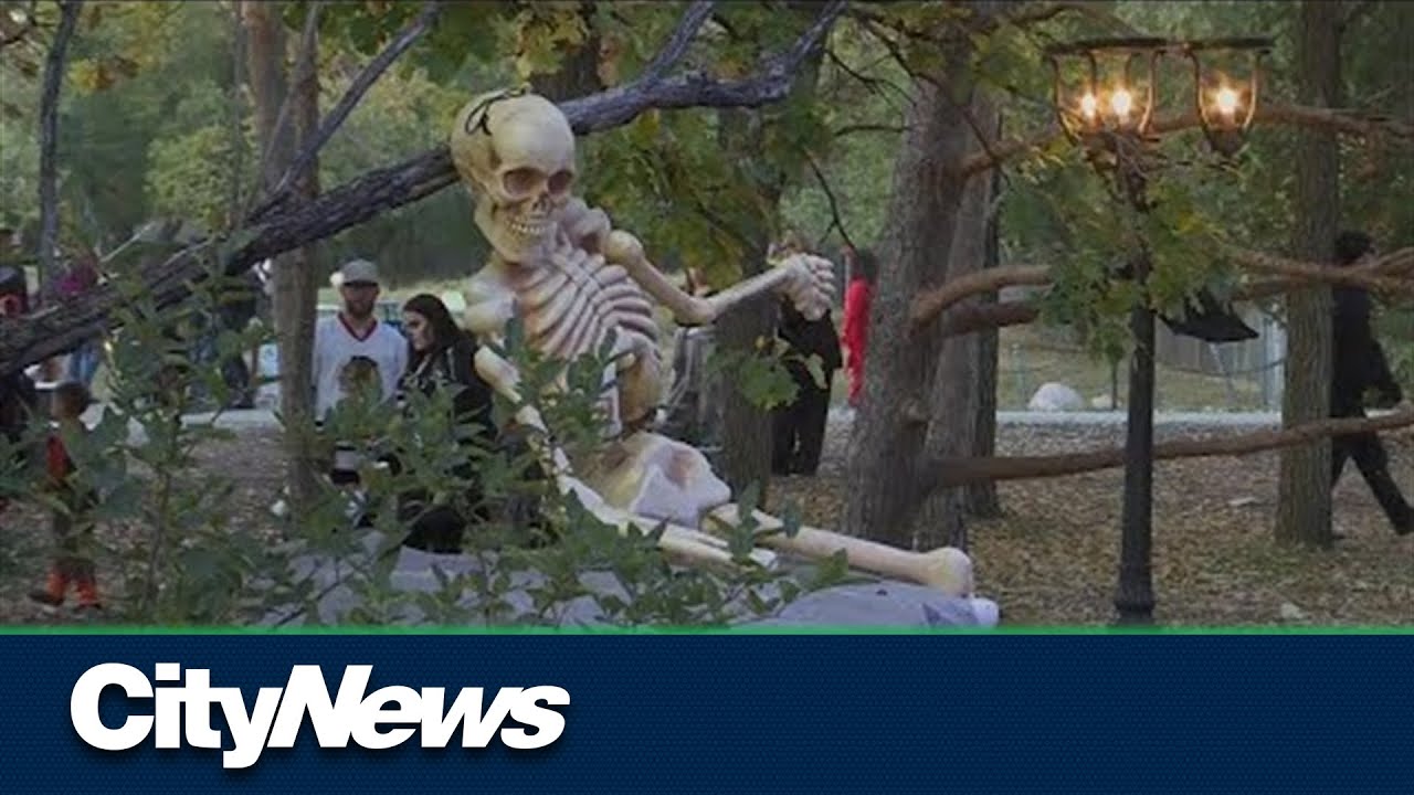 Boo at the Zoo returns - YouTube