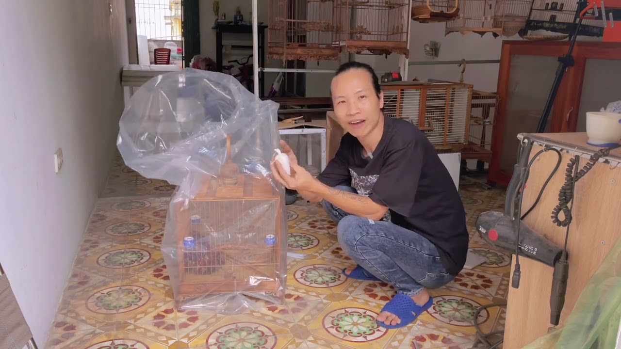 Cách bảo quản lồng chim mùa thay lông của e thái nhé