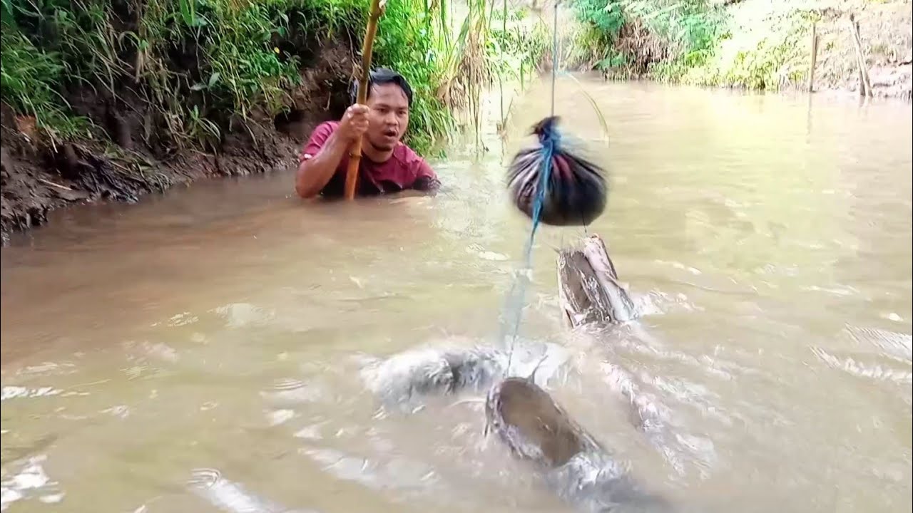 Unbelievable Fishing Method In River Underwater Monster Catching By Conch 2022 