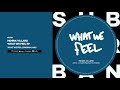 Henrik villard  what we feel original mix