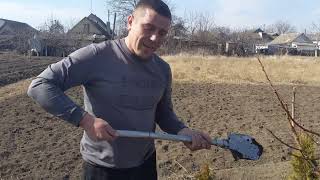 видео: Як правильно пересадити ПЛОДОВІ,дорослі дерева,подивіться до кінця(приживається 95%) картинка: Як правильно пересадити ПЛОДОВІ,дорослі дерева,подивіться до кінця(приживається 95%)