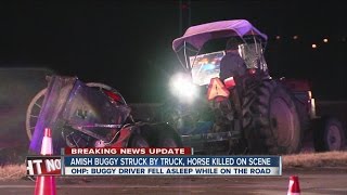 Amish buggy struck by truck, horse killed on scene