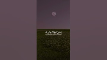 يطوف عليهم ولدانُ مخلدون بصوت القارئ أسلام صبحي |#اسلام_صبحي #explore #اكسبلور #قران #quran